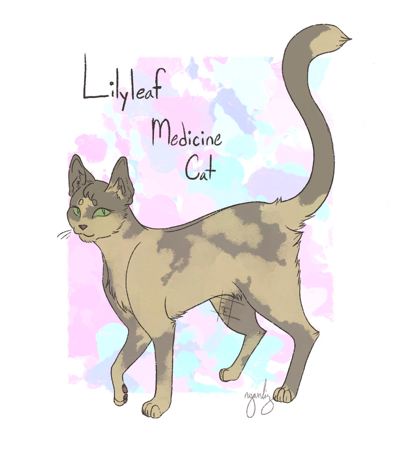 Medicine Cat Design Medicine Cat Design